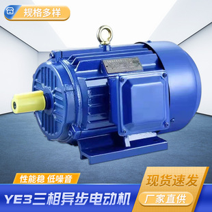 廠家供應三相異步電動機 3KW-160KW立卧式二級2900rpm電機