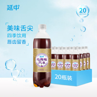 С ÷ζˮ600ml*20ƿ/ ļ ̼ϹζˮƷ