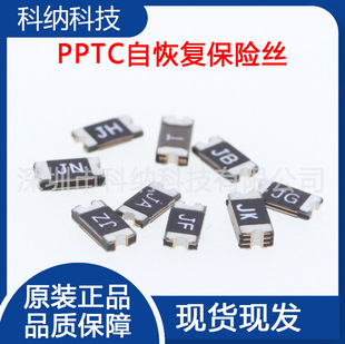 PPTC 1206 0.5A NƬԻ֏ͱUzSMD500mA 6V/13V/16/24/30/60V