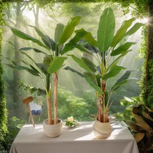 仿真芭蕉樹旅人蕉假綠植盆栽擺件室內盆栽花盆裝飾盆景假樹制作