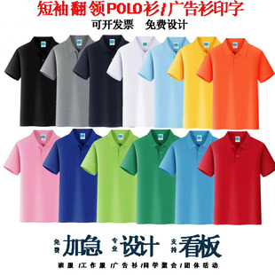 Polo ƷI乤HbەFӡlogo̽