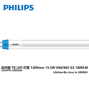 wֽT8LED15.5W1.2LEDչT8LlT8