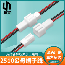加工定做2510公母端子線 2.5間距空中對接端子線2P紅黑電子連接線