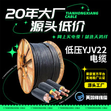 電力工程低壓用電纜 YJV22 3*16 銅線紫銅線電線 家庭電器電纜線