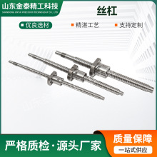 廠家供應滾珠絲桿SFSR1210 SFSR SFAR靜音系列 滑台模組 絲杠