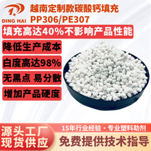 越南碳酸鈣填充料 PP塑料注塑拉絲填充母料PE吹膜注塑 填充母粒