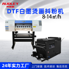 Audley TY700雙頭i3200白墨燙畫DTF打印機抖粉機撒粉烘干一體機