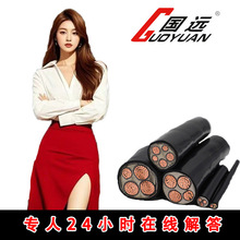寧晉金特電纜YJV10/16/25/35平方銅芯WDZ-YJY3/4/5芯阻燃國標廠家