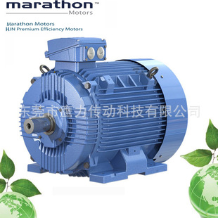 marathon늙C/R늙C/marathon Motors  HJN132M-4  7.5KW