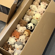 Little系列小動物公仔玩偶卷毛小號可愛毛絨玩具抓機娃娃兒童禮物