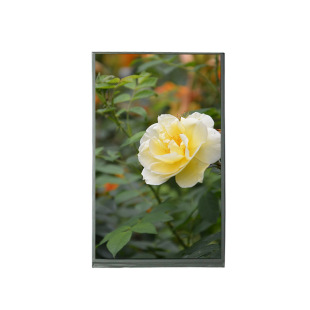 7tftlcd܇dĻ1024*600Һ@ʾRGBӿ|