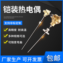 工廠批發熱電偶 耐高溫K型熱電偶 鎧裝熱電偶WRNK-131231江蘇環亞