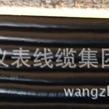 ZR-KX-GsVPVRP熱電偶用補償軟電纜