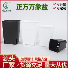 多肉花盆花瓶黑方盆高提根廠家批發基地種植正方萬象盆跨境外貿