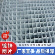 鍍鋅網片2-6mm規格齊全訂制 鍍鋅電焊網養殖鐵絲隔離防護鍍鋅網片