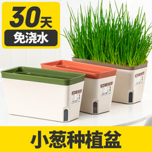 陽台香菜懶人種菜菜盆種植蔬菜養蔥盆長方形專用箱花盆盆栽種菜盆