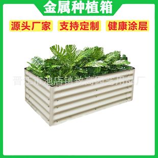 17ӢνPlanter@Garden BedęNֲ仨