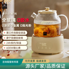 養生壺全玻璃家用小型多功能辦公室新款煮茶器燒水花茶壺鮮燉