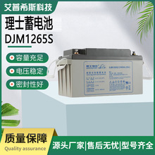 LEOCH理士蓄電池DJM1265S鉛酸免維護12V65AH直流屏配電櫃 UPS電源
