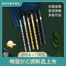 DBAO 愛爾蘭哨笛 初學者入門金屬哨笛 6孔C調D調高音金屬直笛豎笛