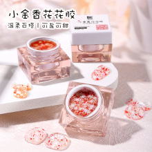 美甲小金香花花膠可愛清新仙女風花瓣膠美甲店爆款冰透罐裝甲油膠