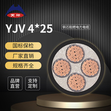 【廠家直銷】天環 ZC-YJV 4*25 國標阻燃銅芯電線電纜