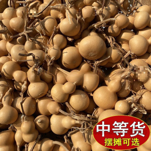 小葫蘆一手貨源帶龍頭天然迷你小手捻把玩件地攤文玩供應