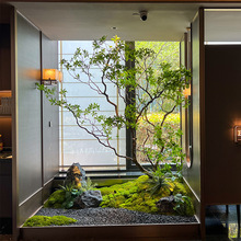 仿真馬醉木櫥窗造景植物室內高端生綠植裝飾樹大型假樹簡約景觀