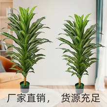 高仿生巴西木綠植大型室內裝飾擺件戶外人造景觀配材巴西葉仿真樹