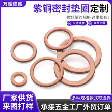 定作各種尺寸紫銅墊片  加工紫銅平墊圈 生產廠家 銅墊 銅墊片