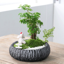 創意北歐花卉室內仿石頭透氣綠蘿多肉植物蝴蝶蘭文竹水泥花盆批發