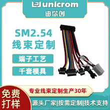 SM2.54公母端子連接線車載安防導航定位器線束源頭廠家定制加工