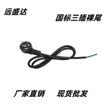 廠家供應國標三插電源線