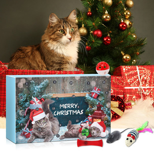 羳2024Cat Advent Calendar}QӋr؈24ä