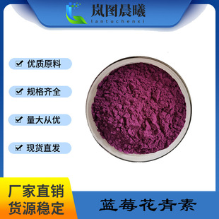 藍莓花青素25%藍莓提取物藍莓果花青素粉藍莓粉廠家現貨抗氧化