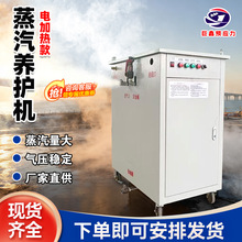 橋梁自動混凝土蒸養機立式電加熱蒸汽發生器22kw燃氣養護蒸汽機