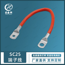 端子線 SC25-8 SC25-6 SC25-5大電流電池串聯線 紅黑電瓶連接線