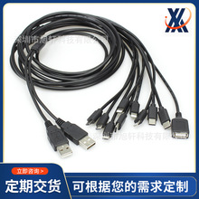 工廠定制USB一拖十充電線 10合1電源線 V8 type c phone 8p線
