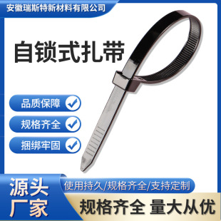 8ϵ*10ϵ*12ϵ iʽ  Cable Ties Դ^S l