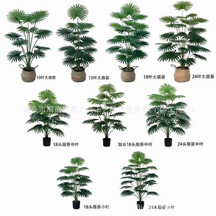 亞馬遜temu希音跨境熱賣仿真綠植扇葵葉加州蒲葵高仿真室內綠植