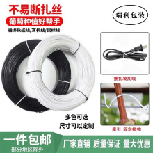 電鍍鋅鐵絲扎線園林園藝捆扎線包塑扎絲防銹鐵絲捆電線葡萄枝條線