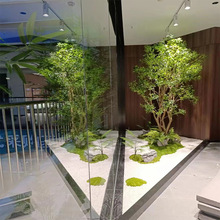 仿真馬醉木綠植造景假植物裝飾室內大型落地景觀真樹櫥窗裝飾樹