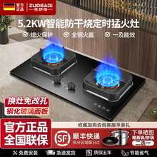 德國品牌燃氣灶家用防干燒定時猛火灶天然氣液化氣節能雙灶