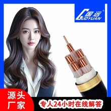 金特電纜YJV10/16/25/35平方銅芯WDZ-YJY3/4/5芯阻燃國標廠家