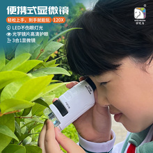 學優馬便攜式顯微鏡科學實驗套裝幼兒園手持兒童澄海戶外玩具批發