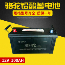 駱駝蓄電池電瓶批發 6-QWLZ-100免維護鉛酸蓄電池 12v100ah蓄電池