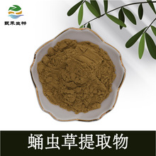 甄禾  蛹蟲草提取物 30:1 蛹蟲草提取粉 蛹蟲草粉 蛹蟲草萃取粉
