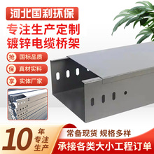 鍍鋅電纜橋架噴塑線槽大跨距梯式熱鍍鋅金屬槽式走線槽鍍鋅橋架