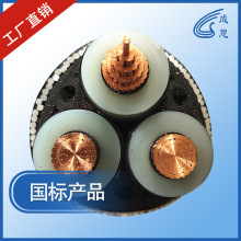 沈陽廠家直銷國標電纜35KV電力電纜沈陽長順電纜制造有限責任公司