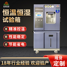 225L恆溫恆濕箱程式烤漆款恆溫箱模擬低溫環境實驗恆溫恆濕試驗箱